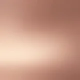 QR code for scanning loyalty card